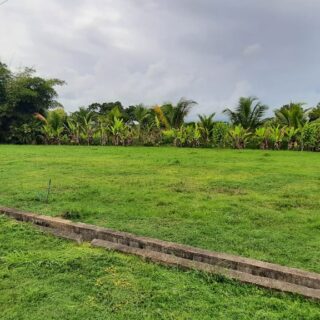 Longdenville Chaguanas Land for Sale