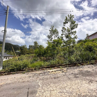 Land For Sale In Maracas Valley