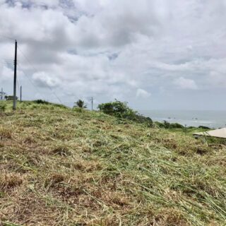 Land for sale – Toco (Leasehold 999 years)