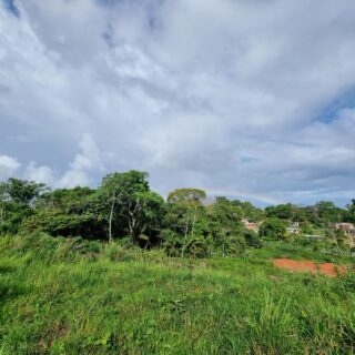 Land For Sale Point Fortin