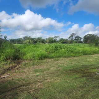 Cunupia, Madras Road 4.7 Acre Parcel Of Land For Sale