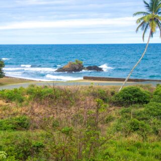 ✨Approved 5000  sq. ft. of Land with Picturesque  view of the Ocean –  Tobago