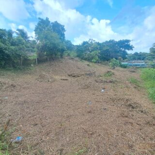 🏡SYNE VILLAGE FULLY APPROVED 6575 SQ.FT PLOT FOR SALE PRICED FOR A QUICK SALE AT ONLY  295K O.N.O. !