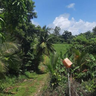 Tabaquite 7 Acres of Land for Sale