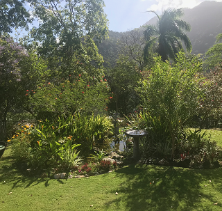 FOR SALE: Large Estate, Valley View, Maracas Valley, St. Joseph