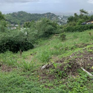 Land for SALE up Hololo Mountain Road, Cascade
