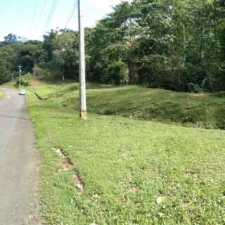 LAND FOR SALE – Bloody Bay, Crown Trace, Tobago