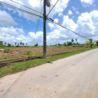 🏡 GREAT DEAL- FULLY APPROVED LOTS FOR SALE, SAN FRANCIQUE, PENAL $285K