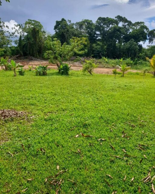 Toco Land For Sale