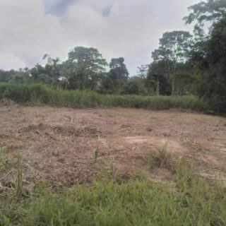 Freehold/Residential Land with all approvals