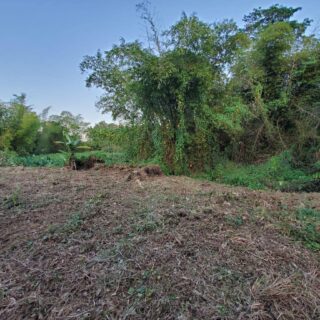 Freehold land with all approvals Mulchan Avenue, Penal