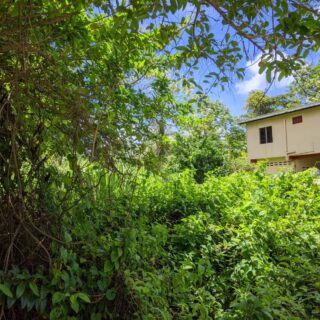 Residential lot for sale at Mayaro