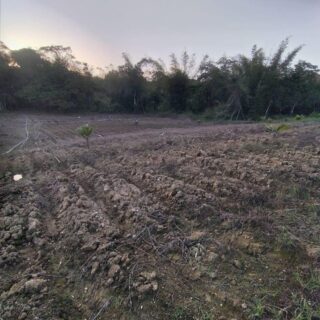 19 3/4 Acres Freehold Land located in Valencia, Investment/Aggregates/Multi purpose use