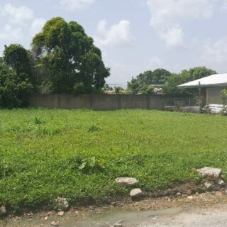 LAND FOR SALE!! #4 Regal Court, off Church Street, Cunupia.