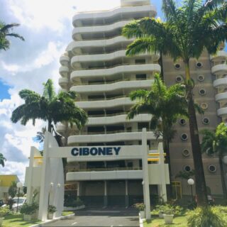 Ciboney Semi-Furnished Penthouse For Rent