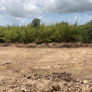 Sangre Grande Chiquito Agriculture Land Freehold