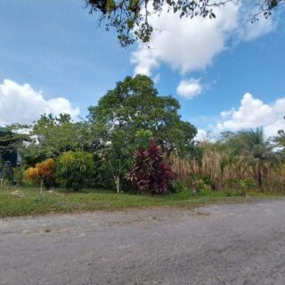 LAND FOR SALE- St. George’s Street, Princes Town