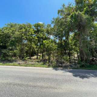 Land For Sale In Penal