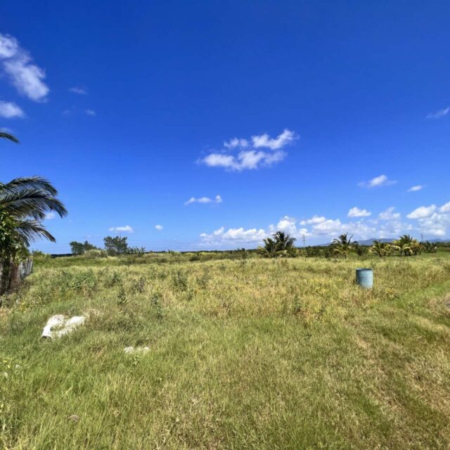 Land -Freehold-Charlieville-Chaguanas-Close to Highway and Main Road