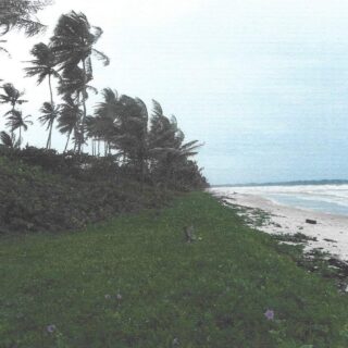 Manzanilla Beach Front Lands,7306sqft; SALE
