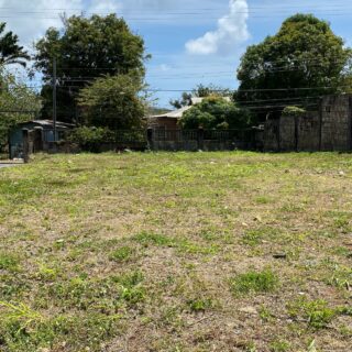 Calder Hall Tobago Land For Sale
