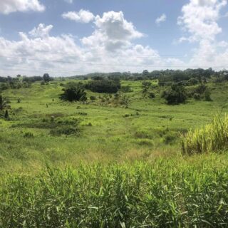 Land for sale in Reform- Great Investment (multi-purpose)