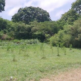 Parcels of land for sale at Crown Point, Tobago