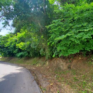 LAND FOR SALE – Paria Main Road, Toco