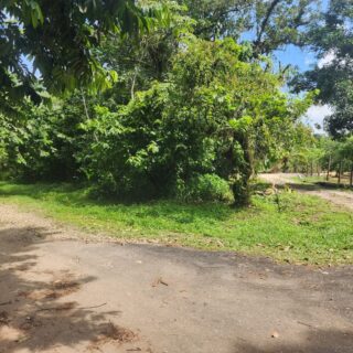 Agricultural land 17424000 sq.ft For Sale in Biche $18,000,000