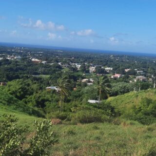 Tobago 4.5 Acres of Land for Sale