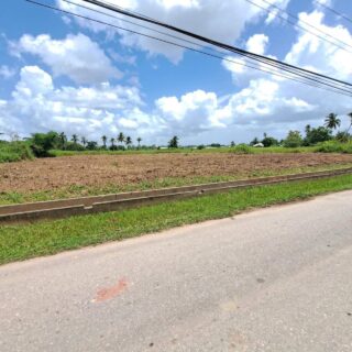 GREAT DEAL- FULLY APPROVED LOTS FOR SALE, SAN FRANCIQUE, PENAL $285K