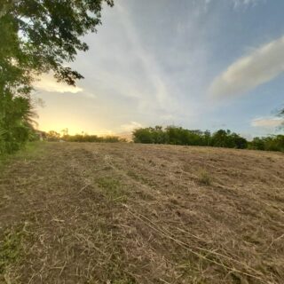 LAND FOR SALE!! PASCAL ROAD, PIPARO