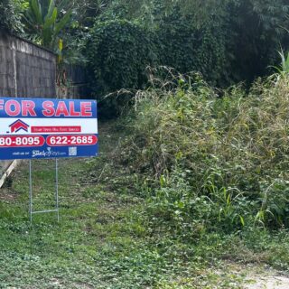 Land For Sale: Hillsboro, Maraval