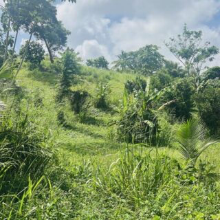 Land- Agricultural-Couva-Central