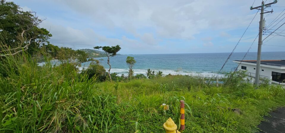 Hope Estate, Tobago- Land For Sale
