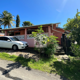 Mayaro House for Sale – 2 Bedroom, 1 Bath, Fully Furnished