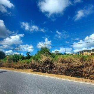 🔷Syne Village ,Penal Main Road Land for Sale – $1.75M