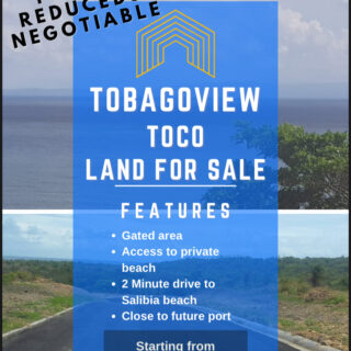 Toco Salybia – Land