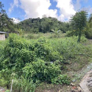 Cumuto Flat Land For Sale