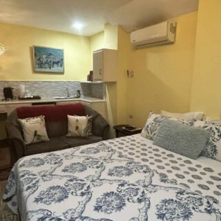 Studio Apartment fully furnished with utilities and amenities in Central Trinidad