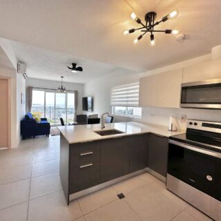 Apartment for Rent at The View, Bournes Rd, St. James