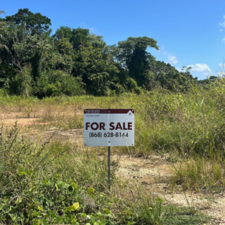 Land for Sale – Sayo Drive Brazil, Talparo TT$4 Million