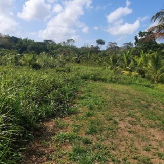 Britto Sisters Road Land for Sale