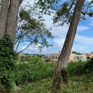 Palmiste – Land for Sale – TT$1.65M