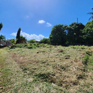 LAND FOR SALE – Mono Cowie Drive, Carnbee, Tobago