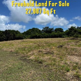 Tobago Courland Freehold Land For Sale
