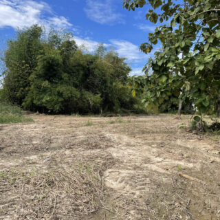 Land For Sale In Piarco