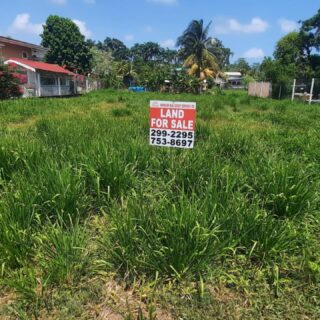 Mayaro Land for Sale