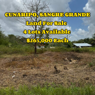 Cunaripo Sangre Grande Land for Sale (AFFORDABLE)