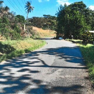Land for Sale – Orange Hill Road, Scarborough Tobago TT$980,000